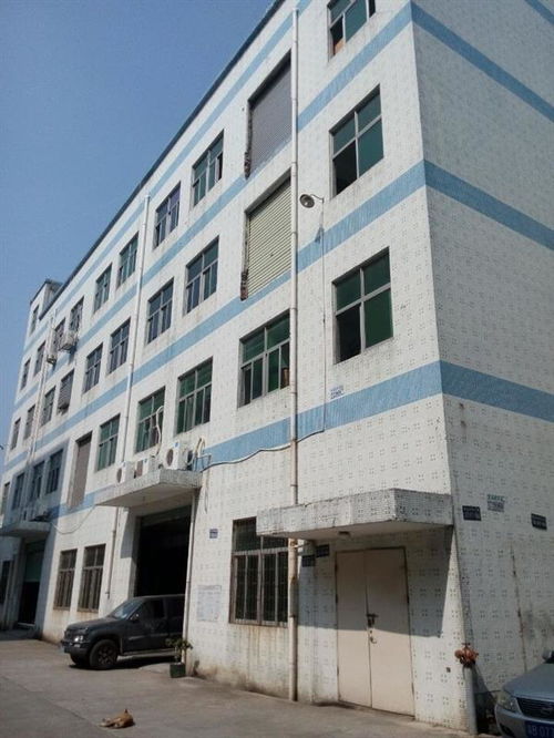 廣州市廠房結構安全檢測公司哪家正規？工程設計需重視專業檢測