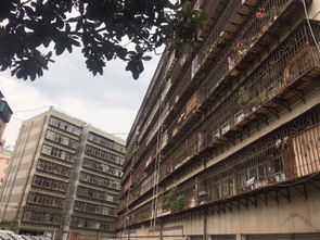 云南地質(zhì)工程勘察設(shè)計(jì)研究院宿舍工程勘察實(shí)踐與探索