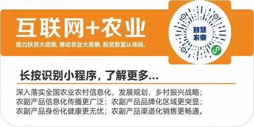 數(shù)字翅膀助農(nóng)飛，互聯(lián)網(wǎng)+農(nóng)業(yè)打通鄉(xiāng)村振興新銷路